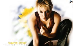 Sharon Stone